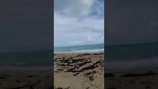 Натуризм на диких пляжах в Доминикане 