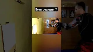 Развитие реакции и ловкости, для бойца каратэ / бокс / ММА #каратэ #karate #бокс #mma #киокушин