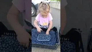 Наша лохина