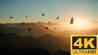 Great Eagles | The Hobbit - An Unexpected Journey 4K HDR