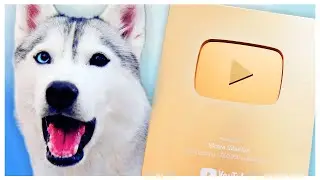 We LOST Our Gold Play Button!!