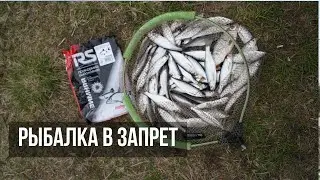 Быстрая рыбалка на фидер! Тест платформы от East Shark