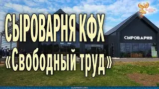 Сыроварня КФХ 