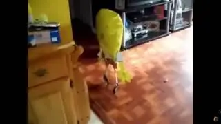 Evil SpongeBob SquarePants Balloon From Deep Web - Reupload