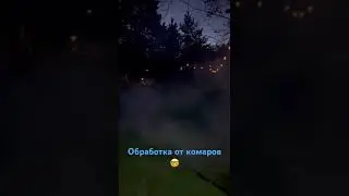 Обработка от комаров после дождя.