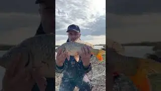 Осенняя Рыбалка на реке… вырвался на рыбалочку 😎🤙 дом рыбака Рыбалка на глубоком