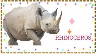 Animals Name||All animals Name||animals||
