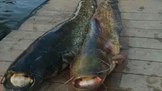 Нижняя Волга май 2015 с Вышка