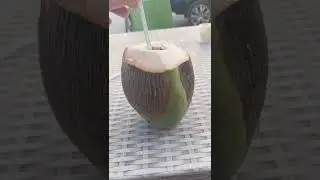 Fresh Delicious Cocunut Water in Muscat Oman