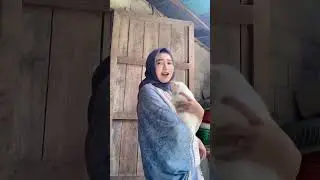 Goyang gendong kucing 