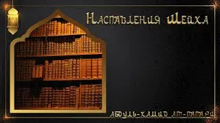 Когда ругают ученых в исламе 