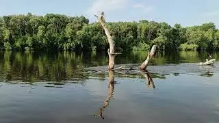Чудесная р.Десна !