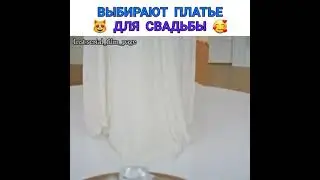 Чёрно-белая любовь/. Выбирают платье 😻для свадьбы 🤩
