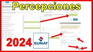 💻 Cómo Importar Percepciones y Retenciones del IGV en Declara Fácil SUNAT 2024 🚀 ¡Guía Completa!