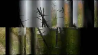 Z buta! - W gminie Rajcza