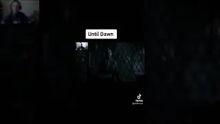 Until Dawn