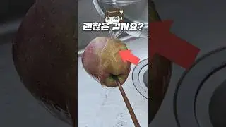 아니 가짜 사과를 팔면 어떡해? (아님)