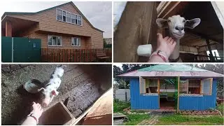 РУМ ТУР ДОМА В ДЕРЕВНЕ • НАШ ВЫХОДНОЙ ДЕНЬ июль 2023