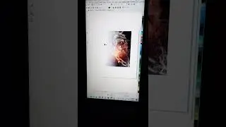 How to Use the Transparency Tool in Corel Draw