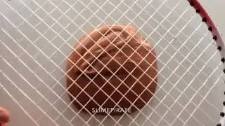 Залипательние видео про лизуни👍👑😻