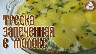 Cod baked with milk in the oven. A cod recipe from the book 1892!