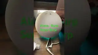 Alexa burps!!
