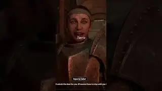 The Elder Scrolls IV: Oblivion Remastered GLITCH 
