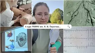 4 курс в РНИМУ им. Н. И. Пирогова, или как лишиться красного диплома