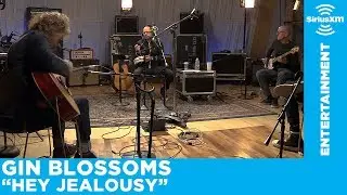 Gin Blossoms Perform 