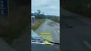 🐕Нашла На Дороге Испуганную Собаку🥲