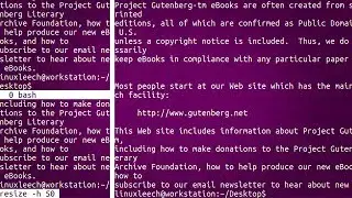 RESIZE Panes - GNU SCREEN