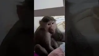 🤣 Когда не знают, что их снимают 👍