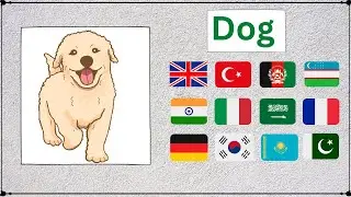 How to say Dog 🐶 in different Languages? | Language Animated