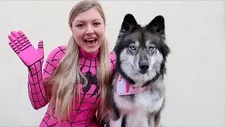 Kakoa's Favorite Stories with Pink Spider Girl!