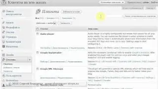 Как добавить javascript в Wordpress