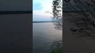 Удачная рыбалка. Думал ЁРШ прилип! 
