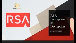RSA Asymmetric Encryption and Signing with Public Private Keys - Usecases with Example