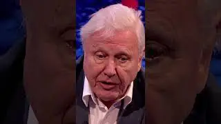 David Attenborough's Unlucky Rice Buffet 🍚