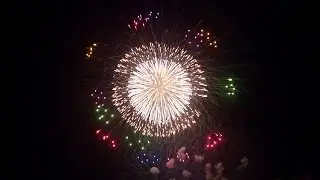 【4K】2014 Huge 24 inch shells collection （600mm shells）& More 桑名水郷 裏から2尺