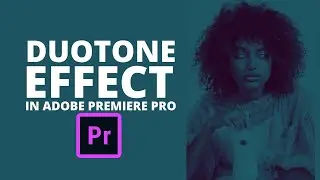 Duotone effect in premiere Pro |Designsubway