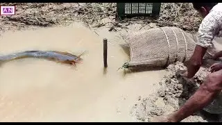 best fishing trap people catch many carb & fish using by bambo trap