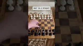 МАТ В 2 ХОДА! 