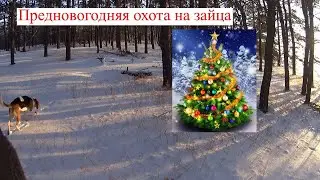 Охота на зайца 31.12.2021 Выезд с братом и его гончими