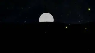 Firefly's to Eine Kleine Nachtmusik
