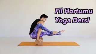 Fil Hortumu Yoga Dersi (Eka Pada Bhujasana)