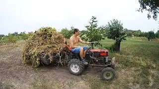 Уборка огорода минитрактором
