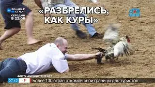 Добавь обороты - «Курам на смех»