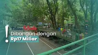 Telusuri Jembatan Hutan Terpanjang Se-Asia Tenggara Hanya di Bandung