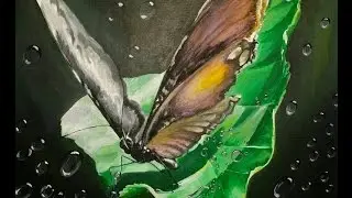 Drawing Water - Bubble effect