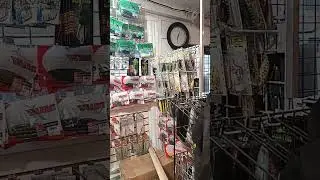 Largemouth Bass Baits Yamamoto Senkos, Yum Dingers & Zoom Lizards